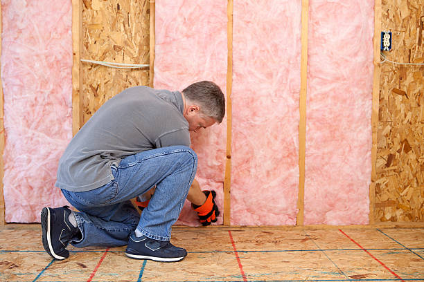 Best Insulation Repair Services  in Lake Vla, IL
