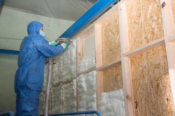 Best Best Insulation Companies  in Lake Vla, IL